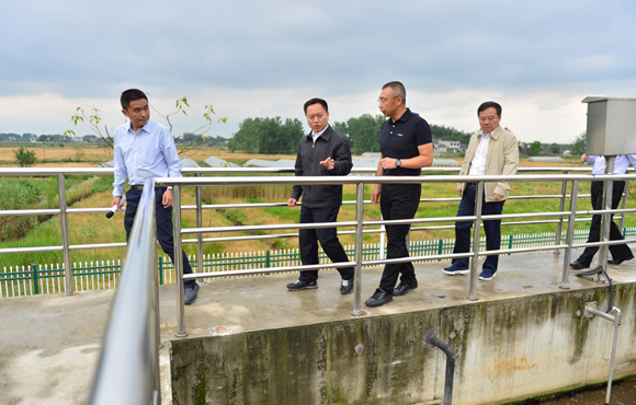 细化行动、凝聚合力，，，，，，，扎实推动环巢湖流域水环境综合治理——省长李国英一行调研长临河镇污水处置厂