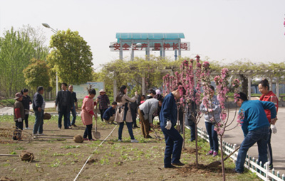 南阳国祯发展植树活动