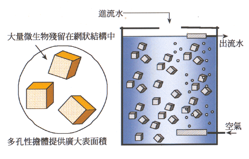 pg麻将胡了(官方)最新IOS/安卓版/手机版APP下载